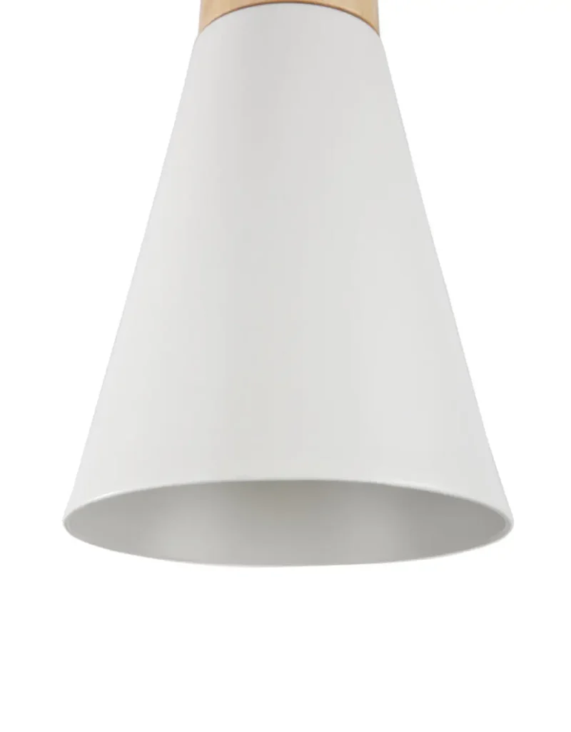 Suspension Luminaire | BICONES