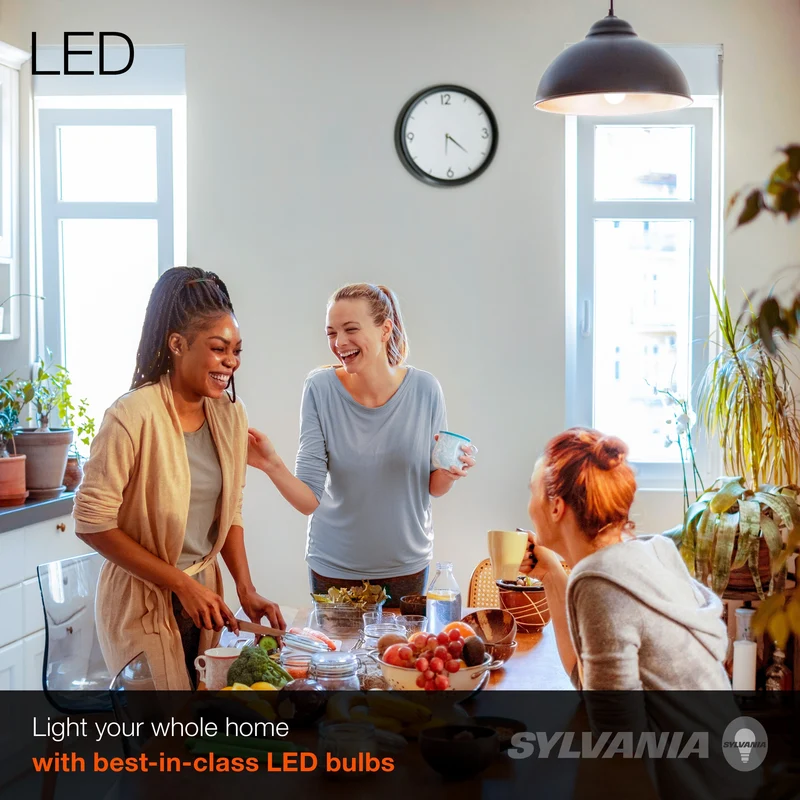 SYLVANIA LED Light Bulb, A19, 14W, 10 Year, Non-Dimmable, 5000K, Daylight - 4 Pk