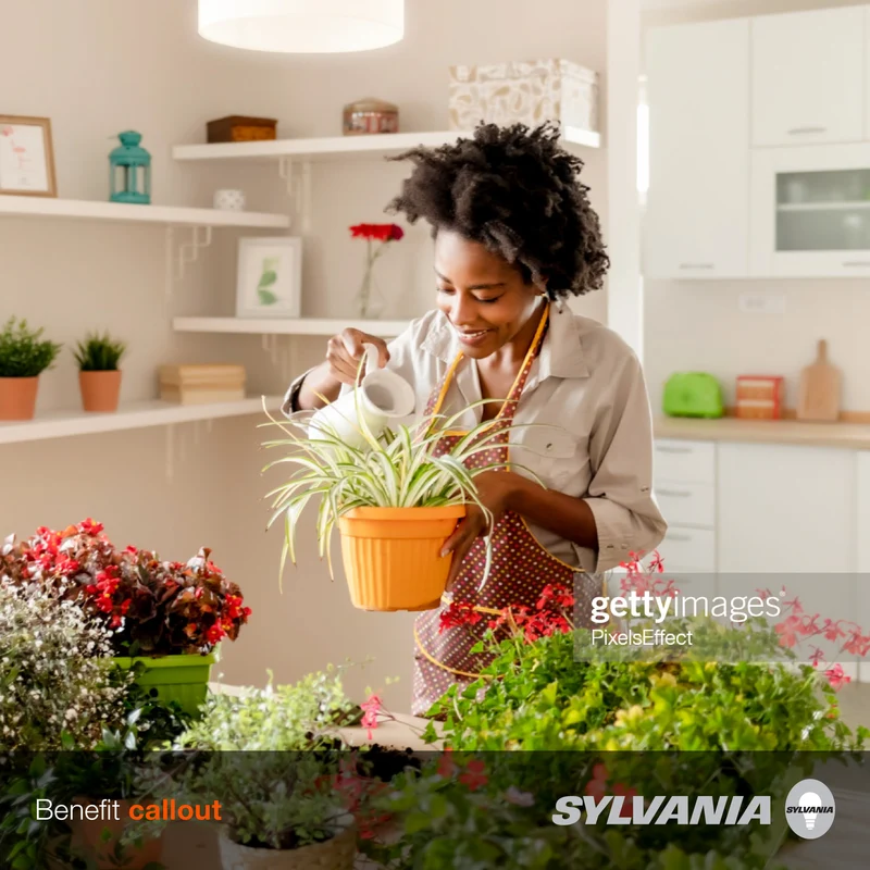 SYLVANIA LED A19 Light Bulb, 75W = 12W, Non-Dimmable, Frosted Finish, 1100 Lumens, 2700K, Soft White - 4 Pk
