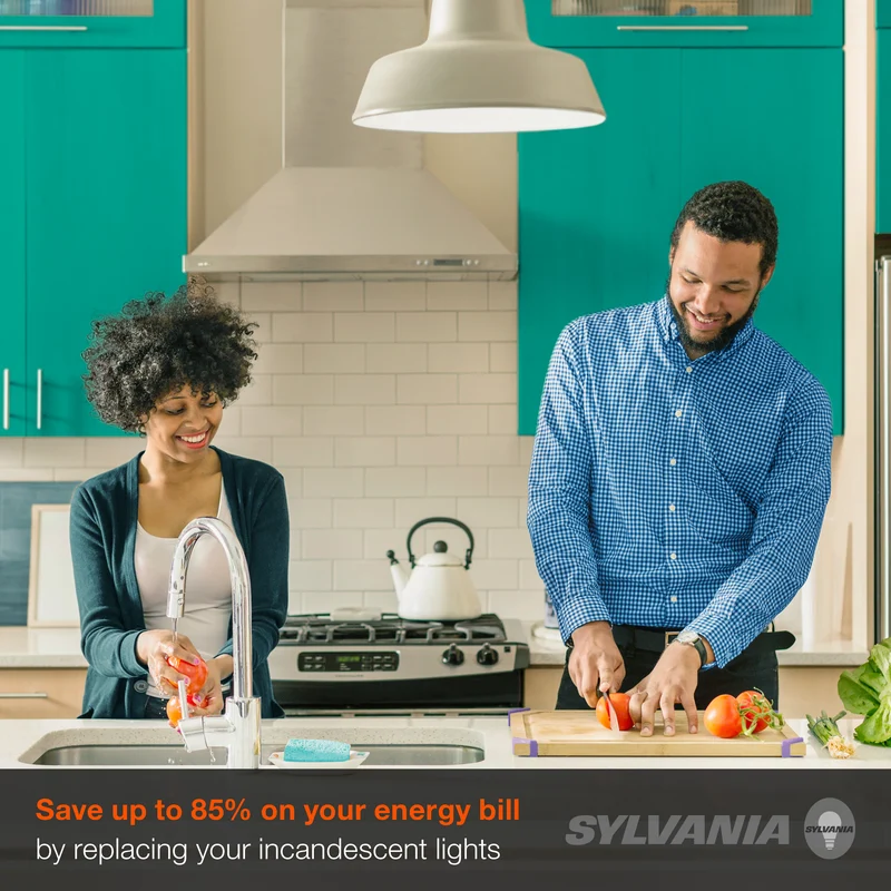SYLVANIA ULTRA LED A19 Light Bulb, 60W = 9W, Dimmable, 13 Year, Frosted, 5000K, Daylight - 4 Pk