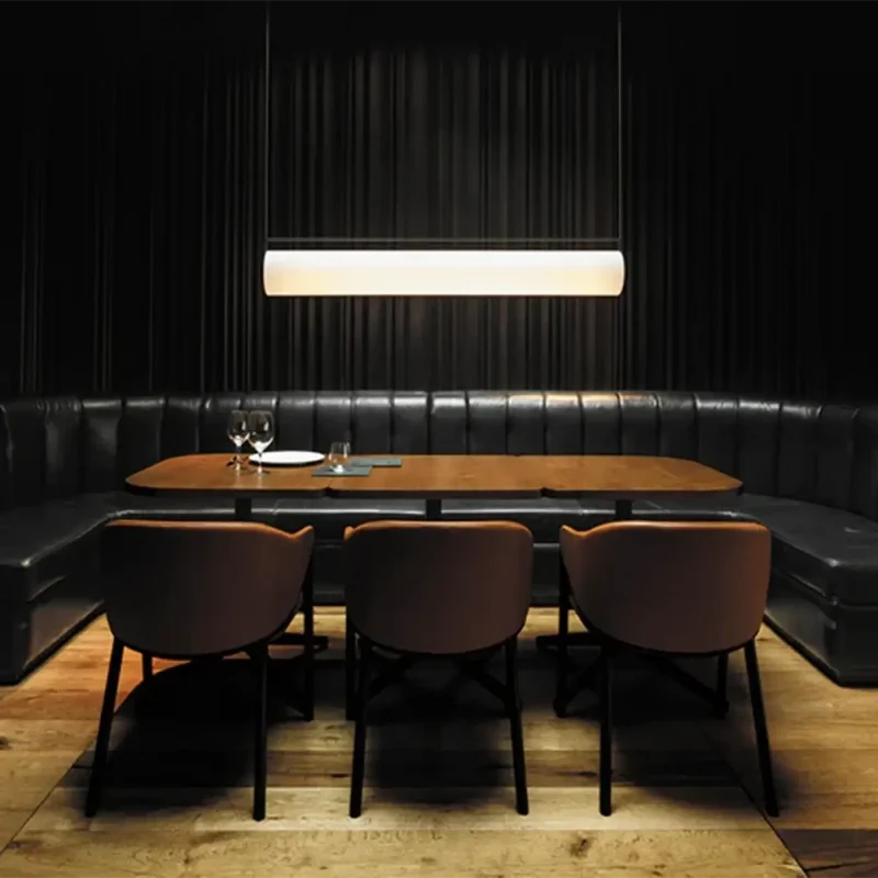 Suspension Luminaire | LINIA