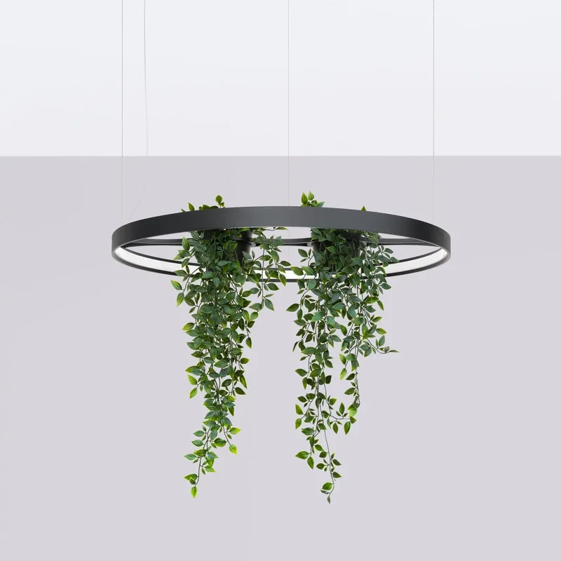 Lustre | RIO BIO