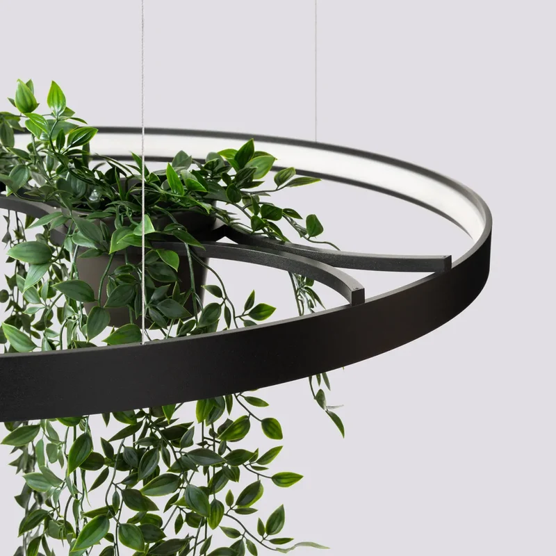 Lustre | RIO BIO