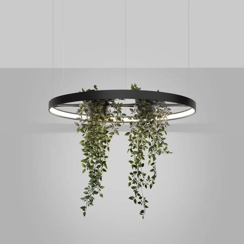 Lustre | RIO BIO