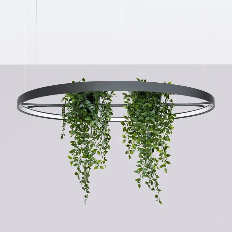 Lustre | RIO BIO