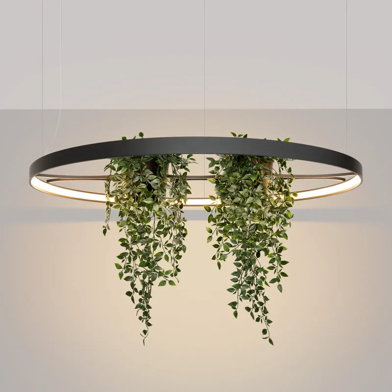 Lustre | RIO BIO