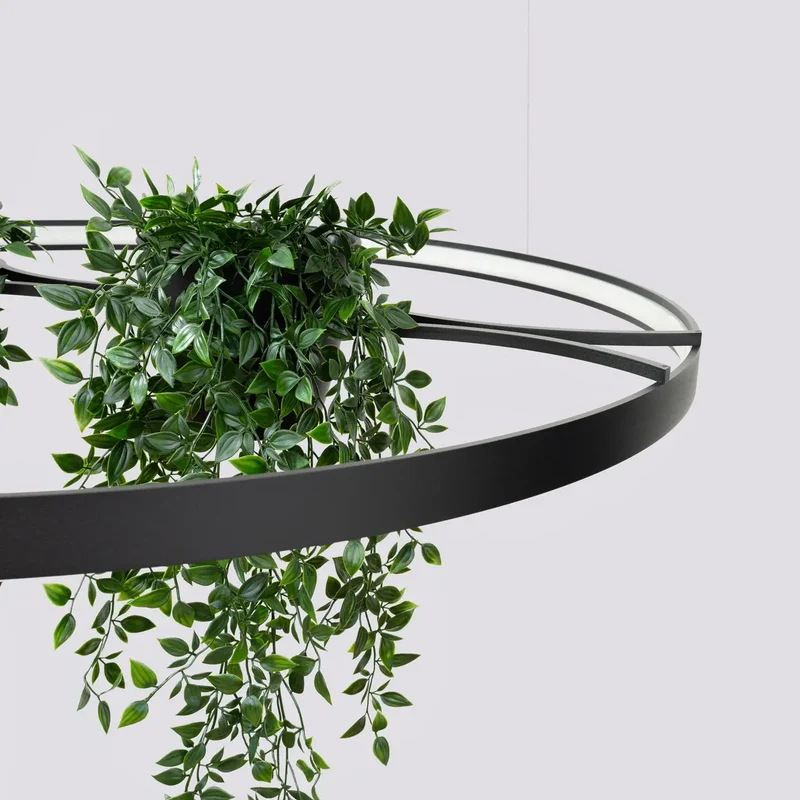 Lustre | RIO BIO