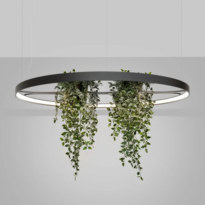 Lustre | RIO BIO