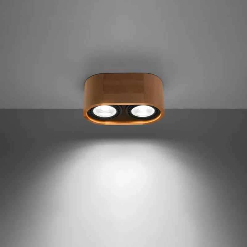 Luminaire Plafonnier | BASIC