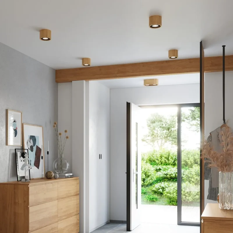 Luminaire Plafonnier | BASIC