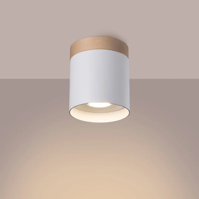 Luminaire Plafonnier | RIF