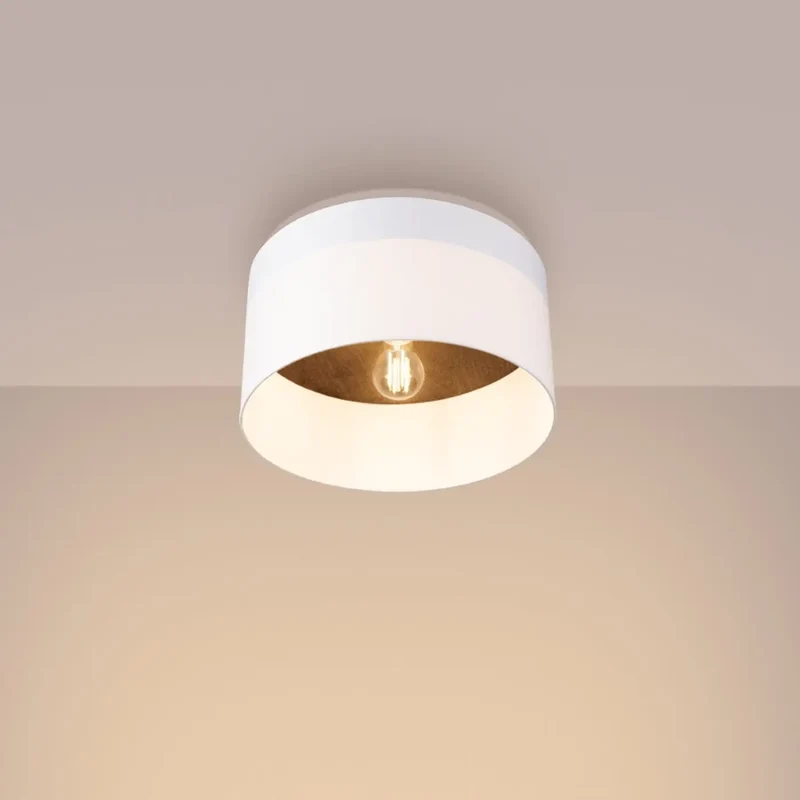 Luminaire Plafonnier | TELESTO
