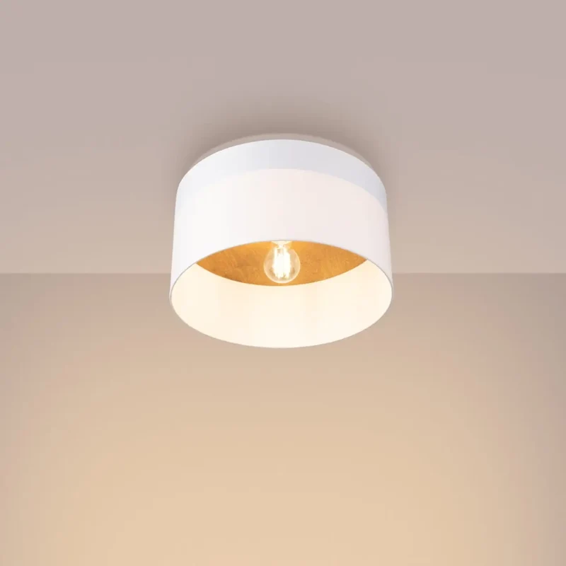 Luminaire Plafonnier | TELESTO