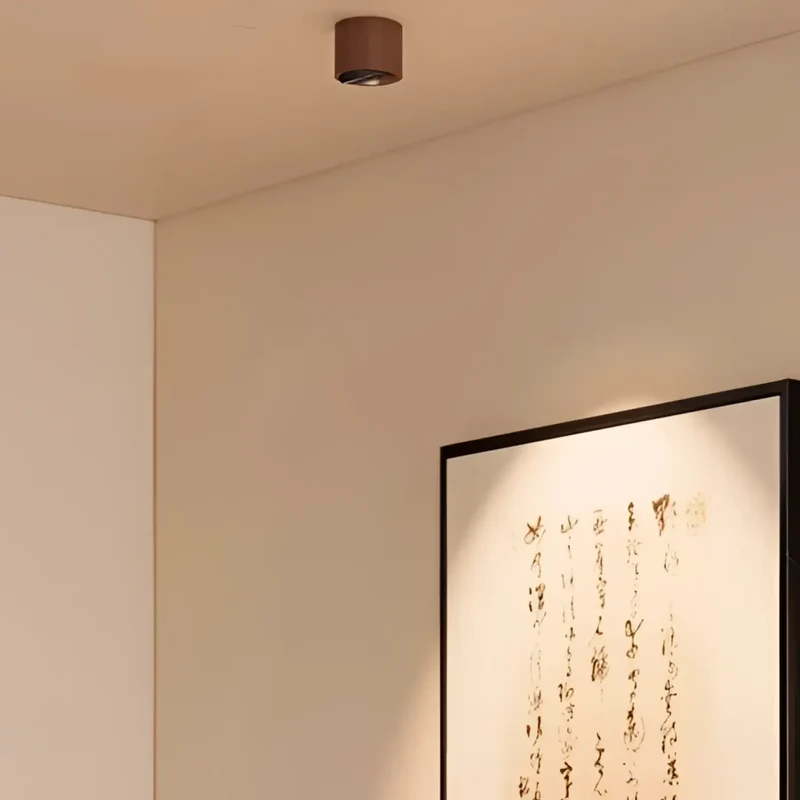 Luminaire Plafonnier | SUTYGIRE