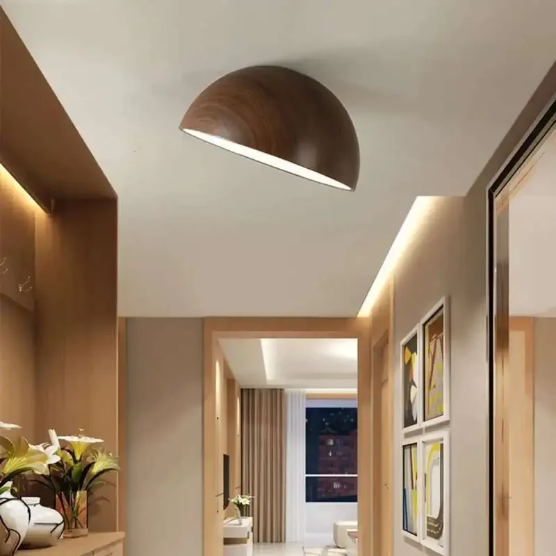 Luminaire Plafonnier | LONROI