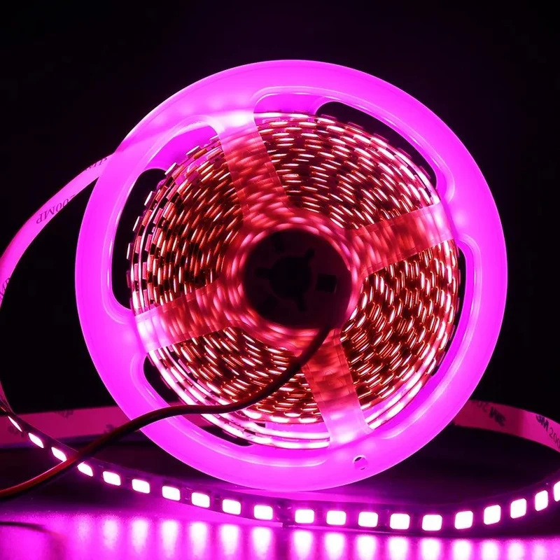 SMD 5630 12V LED Strip Lights - 5M, 9 Colors, IP21/IP65, 5M, Dimmable