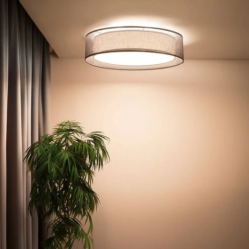 Luminaire Plafonnier | PURO (Graphite)