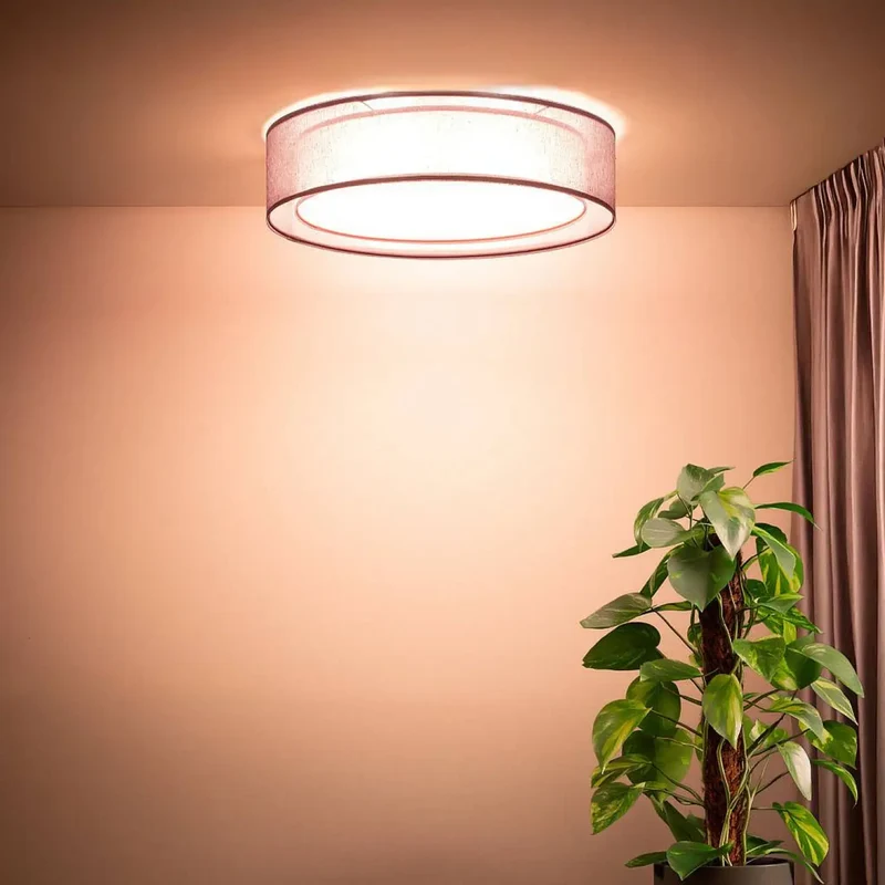 Luminaire Plafonnier | PURO (Violet)