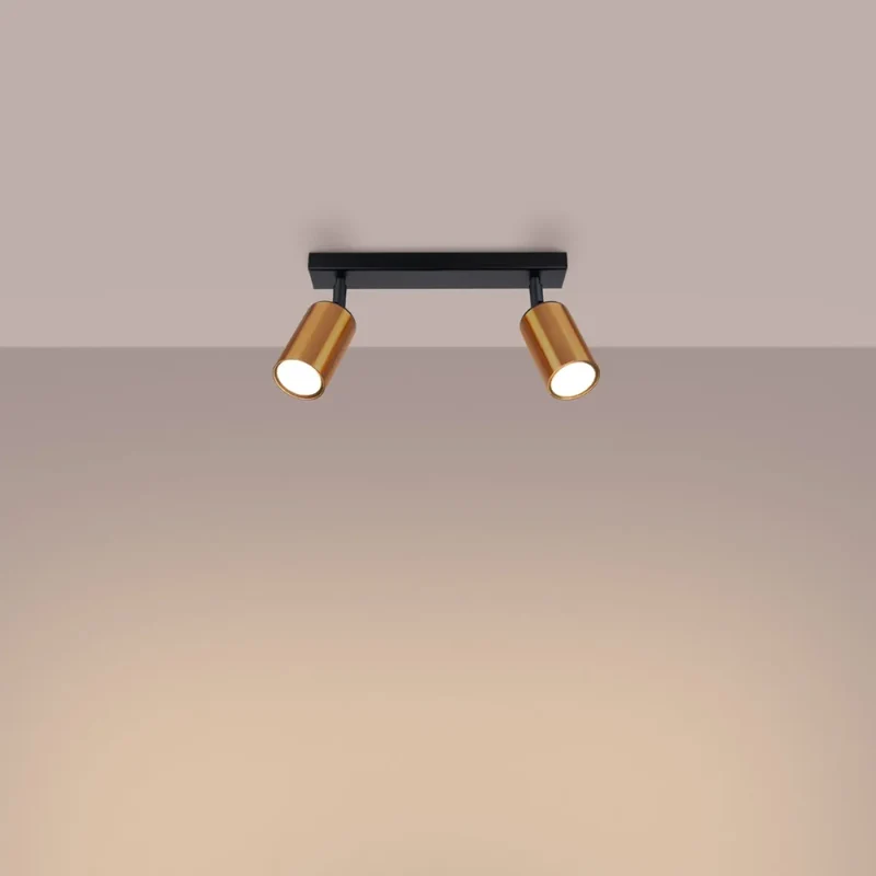 Luminaire Plafonnier | WINX 2 (Noir/Cooper)