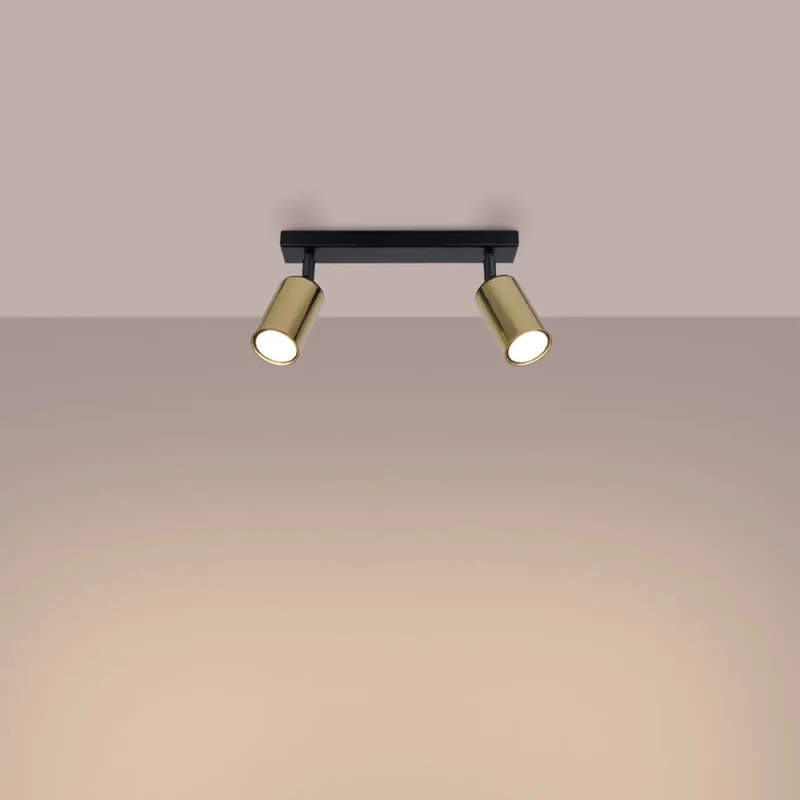 Luminaire Plafonnier | WINX 2 (Noir/Doré)