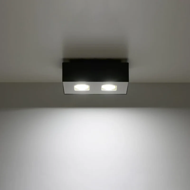 Luminaire Plafonnier | MONO 2 (Noir)