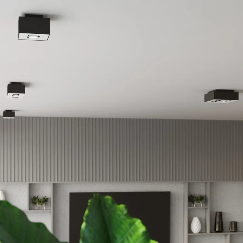 Luminaire Plafonnier | MONO 2 (Noir)