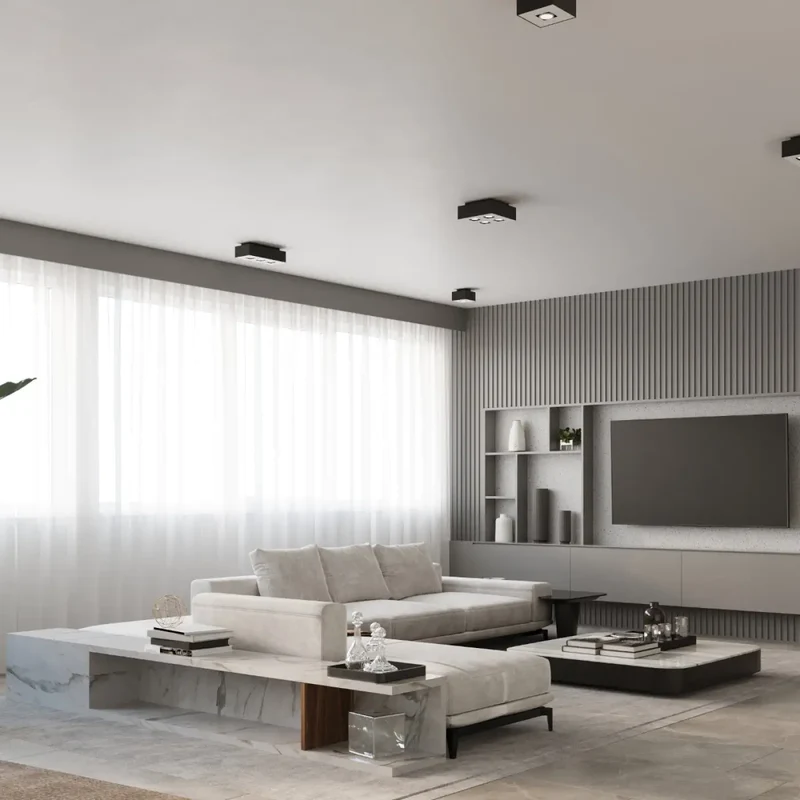 Luminaire Plafonnier | MONO 1 (Noir)