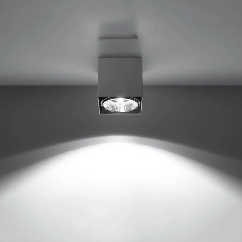 Luminaire Plafonnier | BLAKE (Gris)