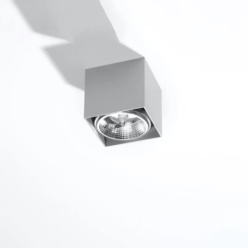 Luminaire Plafonnier | BLAKE (Gris)