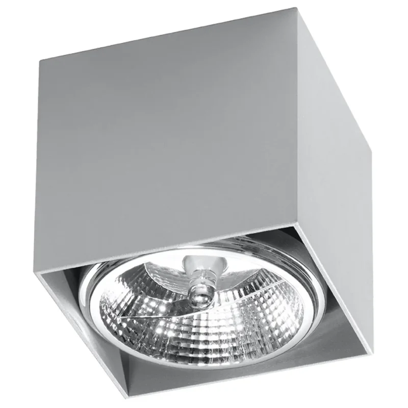 Luminaire Plafonnier | BLAKE (Gris)