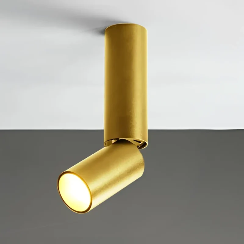 Luminaire Plafonnier | DARITUS