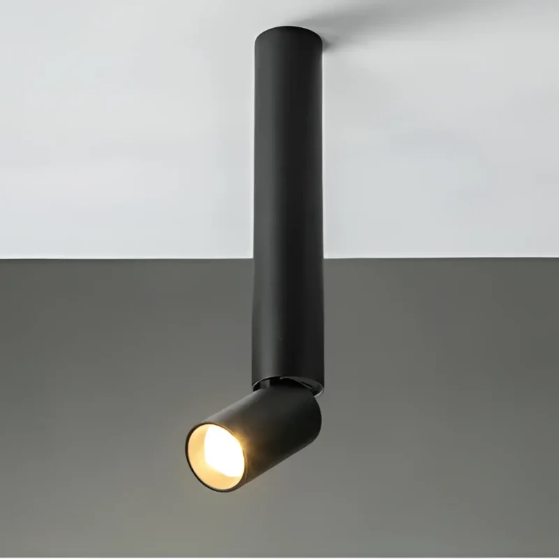Luminaire Plafonnier | DARITUS