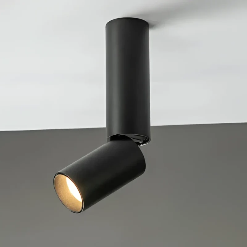 Luminaire Plafonnier | DARITUS