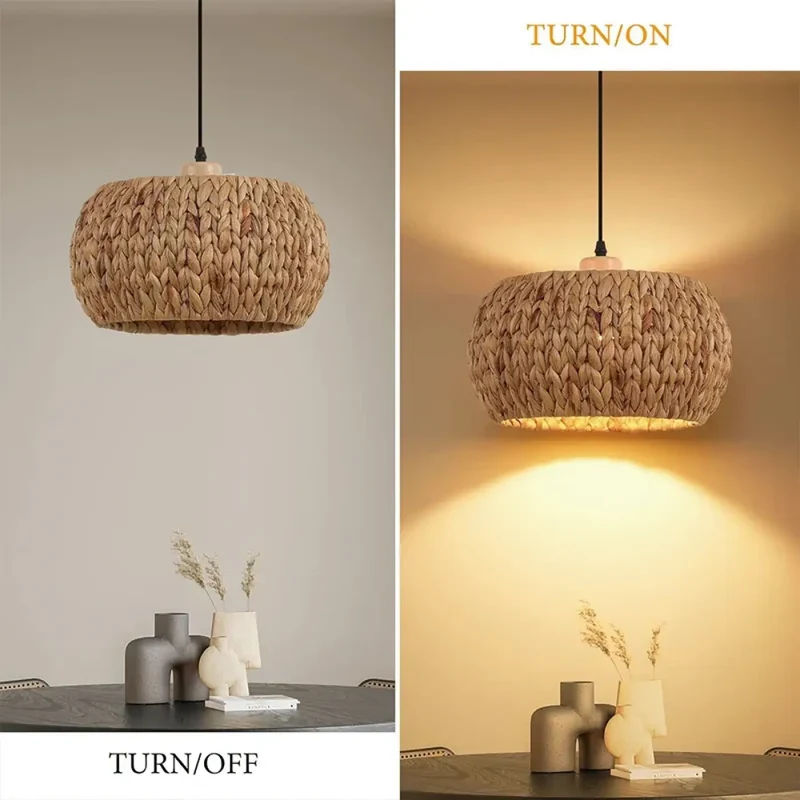 Suspension Luminaire | DEBASE