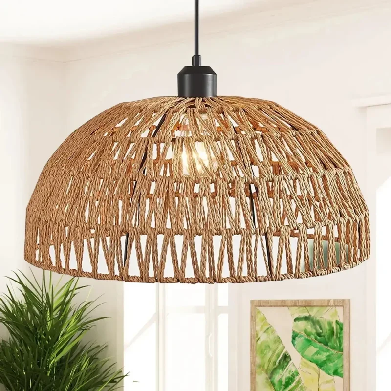 Suspension Luminaire | CAOSHI